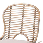 Modern Bohemian Rattan and Metal 2-Piece Dining Chair Set