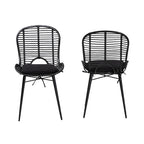 Modern Bohemian Rattan and Metal 2-Piece Dining Chair Set